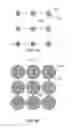 Fig. 07 - SUBSTRATE PRETREATMENT FOR REDUCING FILL TIME IN NANOIMPRINT LITHOGRAPHY