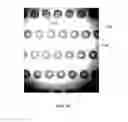 Fig. 14 - Substrate pretreatment and etch uniformity in nanoimprint lithography