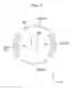 Fig. 03 - Exposure apparatus and device manufacturing method