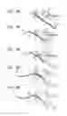 Fig. 10 - Sheet conveying apparatus and image forming system including the same