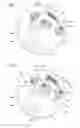 Fig. 09 - Electronic timepiece