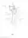 Fig. 02 - METHOD AND ASSEMBLY FOR OPERATING A SANITARY FIXTURE