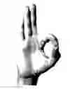 Fig. 01 - Gesture recognition control device
