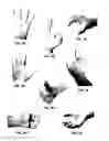 Fig. 04 - Gesture recognition control device