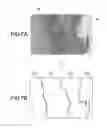 Fig. 08 - Information processing apparatus, method and computer-readable medium
