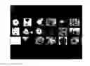 Fig. 01 - Browsing Multiple Images Using Perspective Distortion and Scrolling