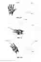 Fig. 10 - Gesture recognition for on-board display