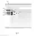 Fig. 19 - Rapidly Configurable Program