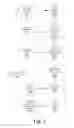 Fig. 02 - Automatic semantic rating and abstraction of literature