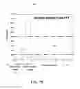Fig. 11 - Energy expenditure
