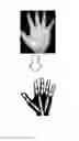 Fig. 01 - Biometric authentication device, biometric authentication method and computer-readable non-transitory medium