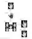 Fig. 02 - Biometric authentication device, biometric authentication method and computer-readable non-transitory medium