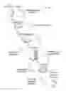 Fig. 01 - Systems and methods for facilitating cross-platform purchase redirection