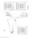 Fig. 05 - SYSTEM FOR ELECTRONIC COLLECTION AND DISPLAY OF ACCOUNT TOKEN USAGE AND ASSOCIATION