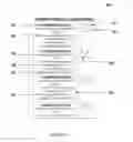Fig. 10 - SYSTEM FOR ELECTRONIC COLLECTION AND DISPLAY OF ACCOUNT TOKEN USAGE AND ASSOCIATION
