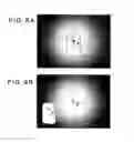 Fig. 04 - Apparatus correcting shading without taking optical characteristics into consideration and method thereof