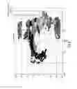 Fig. 07 - Determination of a currently treated body portion of a user