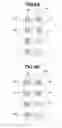 Fig. 09 - Register error amount detection method and apparatus