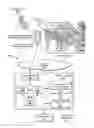 Fig. 01 - Augmented reality panorama supporting visually impaired individuals