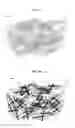 Fig. 04 - Graphene-nanomaterial complex, flexible and stretchable complex comprising the same and methods for manufacturing complexes