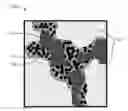 Fig. 01 - Conductive polymeric material