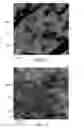 Fig. 03 - Conductive polymeric material