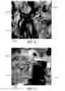 Fig. 04 - Conductive polymeric material