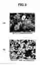 Fig. 04 - Method for producing electrode material