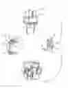 Fig. 03 - Power relay for a vehicle