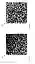 Fig. 07 - Electron microscopy specimen and method of fabrication