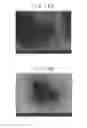 Fig. 25 - Sample holder with light emitting and transferring elements for a charged particle beam apparatus