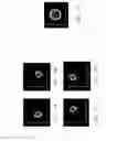 Fig. 09 - Detection assembly, system and method