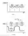 Fig. 07 - Microparticle composition analyzing apparatus