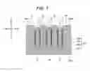 Fig. 07 - Power conversion apparatus including wedge inserts