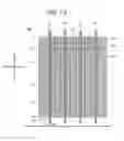 Fig. 14 - Power conversion apparatus including wedge inserts
