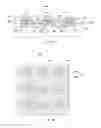 Fig. 07 - Projection display system