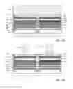 Fig. 07 - Method for manufacturing a transistor having a sharp junction by forming raised source-drain regions before forming gate regions and corresponding transistor produced by said method