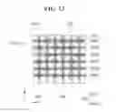 Fig. 13 - Solar cell module and method for manufacturing the same