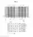 Fig. 04 - Method for manufacturing solar cell module