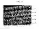 Fig. 10 - Light emitting device with high efficiency