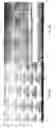 Fig. 09 - Transparent conductive structure and formation thereof