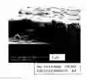 Fig. 01 - DOPING PREFERENCES IN CONJUGATED POLYELECTROLYTE/SINGLE-WALLED CARBON NANOTUBE COMPOSITES