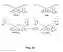 Fig. 02 - DOPING PREFERENCES IN CONJUGATED POLYELECTROLYTE/SINGLE-WALLED CARBON NANOTUBE COMPOSITES