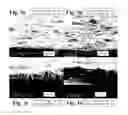 Fig. 06 - DOPING PREFERENCES IN CONJUGATED POLYELECTROLYTE/SINGLE-WALLED CARBON NANOTUBE COMPOSITES