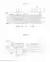 Fig. 07 - DEPOSITION MASK AND METHOD OF FABRICATING THE SAME