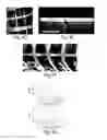 Fig. 06 - Methods and systems for scaffolds comprising nanoelectronic components