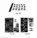 Fig. 10 - Methods and systems for scaffolds comprising nanoelectronic components