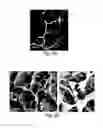 Fig. 13 - Methods and systems for scaffolds comprising nanoelectronic components