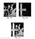 Fig. 23 - Methods and systems for scaffolds comprising nanoelectronic components