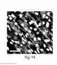 Fig. 32 - Methods and systems for scaffolds comprising nanoelectronic components